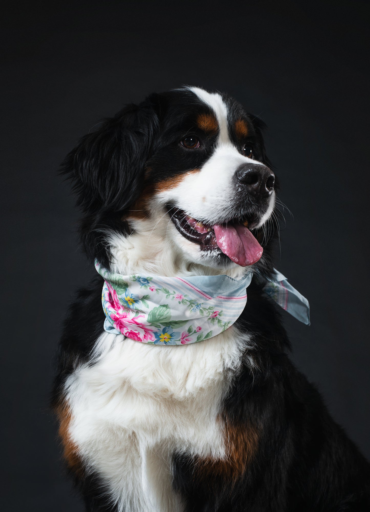 Sally Cinnamon Silk Foulard